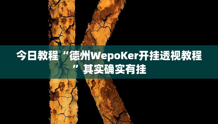 今日教程“德州WepoKer开挂透视教程”其实确实有挂