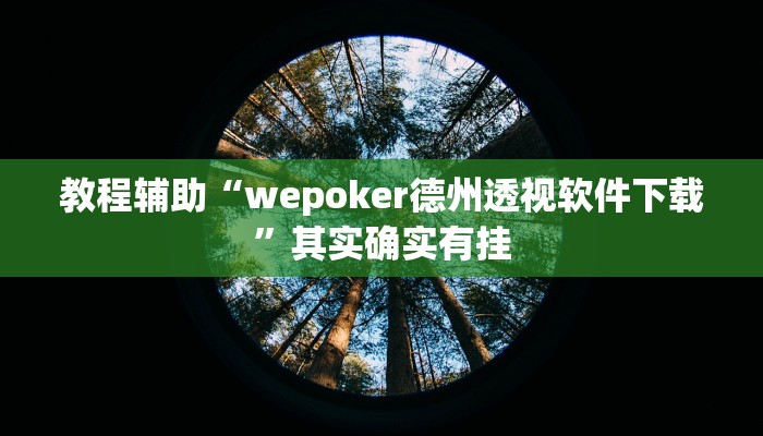 必备科技“微乐血战到底开挂辅助器”![果然有透视挂]