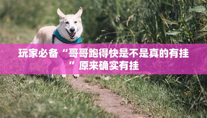 玩家必备“天天监利麻将开挂教程”其实确实有挂