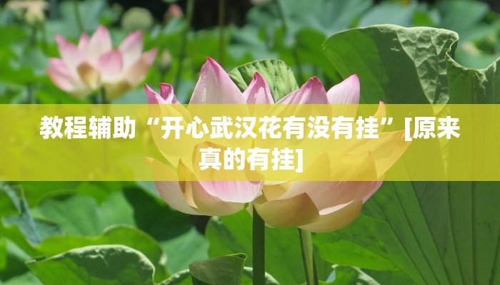 辅助神器“多乐山东麻将如何开挂”真实开挂技巧分享