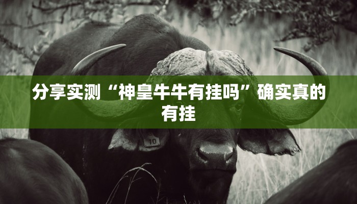 万能开挂辅助“七千在线可以开挂吗”详细分享装挂步骤教程