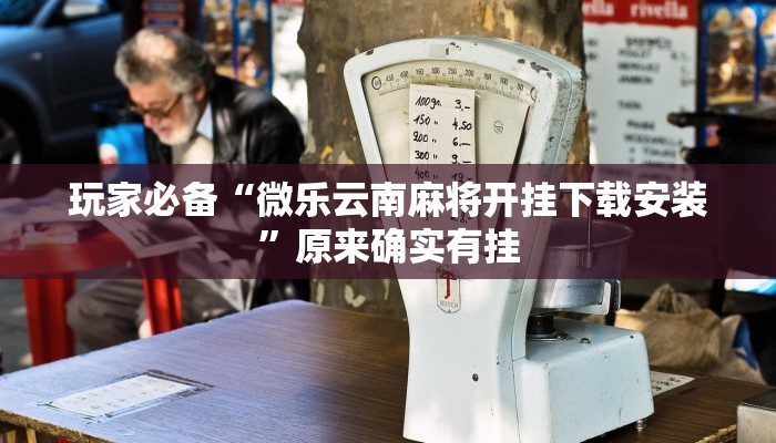 实测教程”山东369麻将作怎么弊器下载”开挂(透视)辅助教程