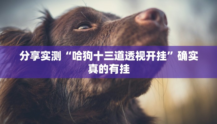 分享实测“多乐跑得快开挂神器下载安装”确实真的有挂 分享实测“多乐跑得快开挂神器下载安装”确实真的有挂