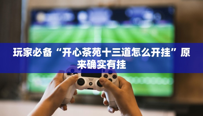 分析实测“欢 乐拼十透视辅助软件”其实确实有挂