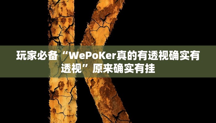 玩家必备“WePoKer真的有透视确实有透视”原来确实有挂