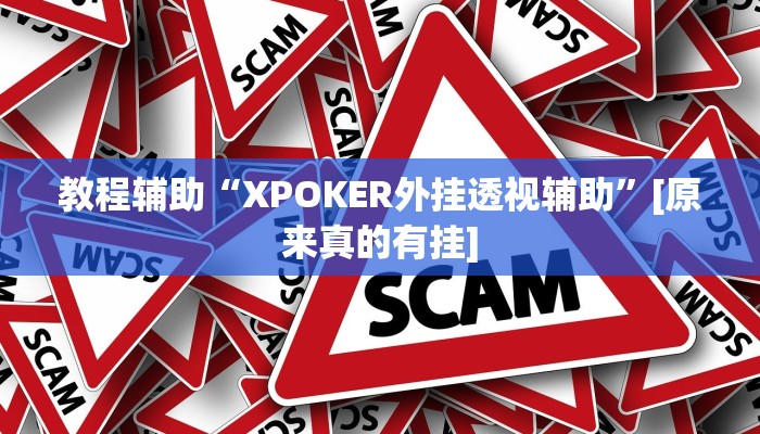 教程辅助“XPOKER外挂透视辅助”[原来真的有挂]