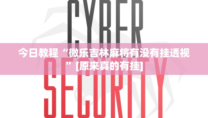 必备科技“博雅红河棋牌开挂器”![果然有透视挂]