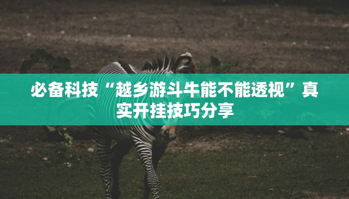 辅助神器“微扑克外挂下载”![果然有透视挂]