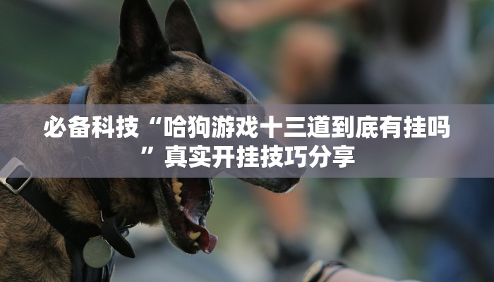 辅助神器“哈灵麻将开挂教程”真实开挂技巧分享