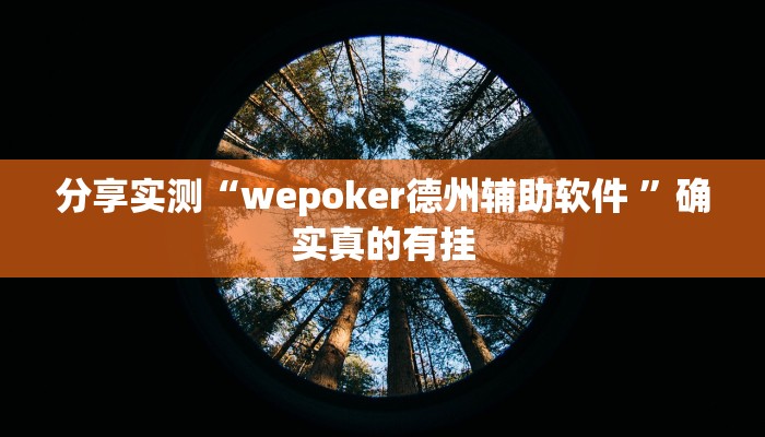 分享实测“wepoker德州辅助软件 ”确实真的有挂