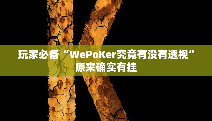 玩家必备“WePoKer究竟有没有透视”原来确实有挂