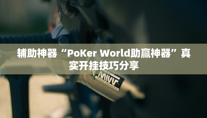 万能开挂辅助“火拼耍大牌可以开挂吗”详细分享装挂步骤教程