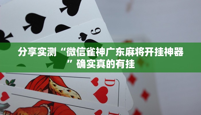 教程开挂辅助“摸一把跑得快有没有挂的”详细教程辅助工具