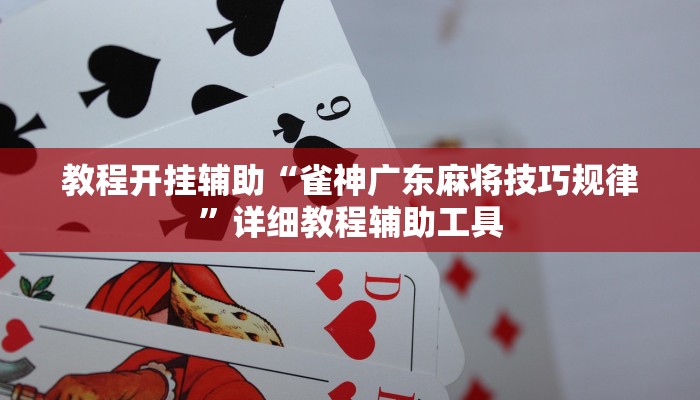 辅助神器“流樱大厅开挂作弊”![果然有透视挂]