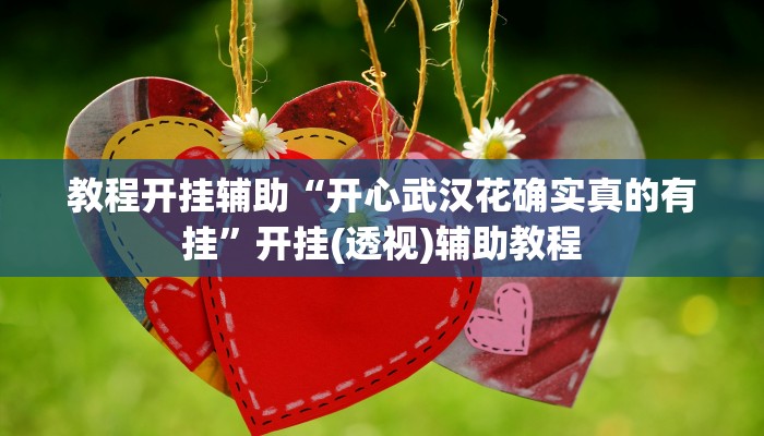 必备科技“胜奕填大坑透视软件”![果然有透视挂]