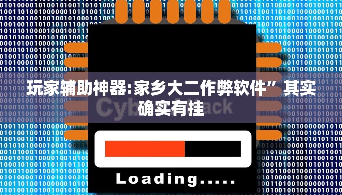 玩家辅助神器:家乡大二作弊软件”其实确实有挂