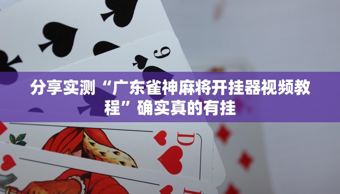 辅助神器“小二互娱开挂神器”![果然有透视挂]