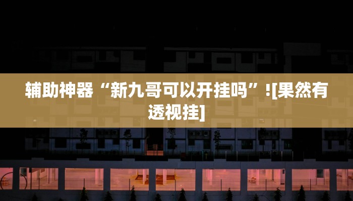 辅助神器“新九哥可以开挂吗”![果然有透视挂]