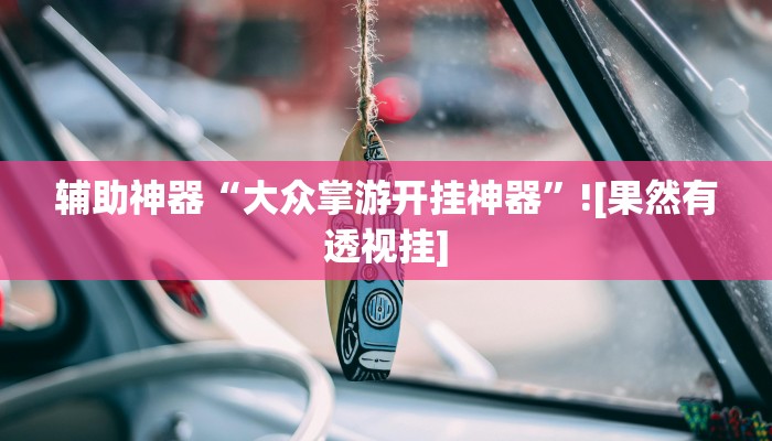 辅助神器“大众掌游开挂神器”![果然有透视挂]