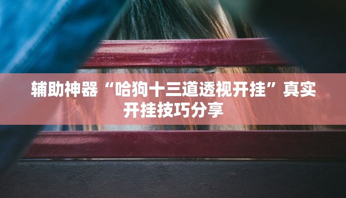 辅助神器“哈狗十三道透视开挂”真实开挂技巧分享