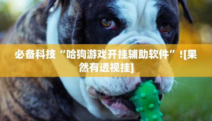 玩家必备“福建十三水透视脚本软件”原来确实有挂