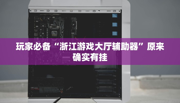 玩家必备“浙江游戏大厅辅助器”原来确实有挂