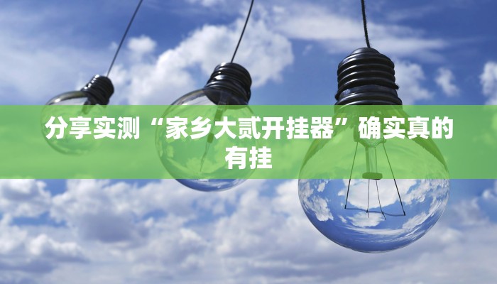 分享实测“家乡大贰开挂器”确实真的有挂