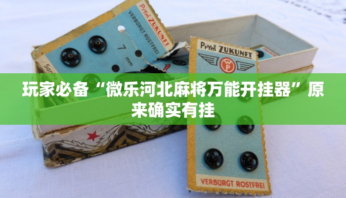 玩家必备“微乐河北麻将万能开挂器”原来确实有挂