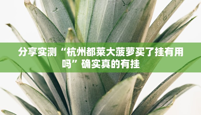 分享实测“杭州都莱大菠萝买了挂有用吗”确实真的有挂 分享实测“杭州都莱大菠萝买了挂有用吗”确实真的有挂