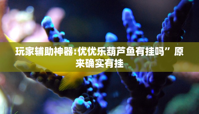 辅助神器“科乐填大坑开挂神器下载”其实确实有挂 辅助神器“科乐填大坑开挂神器下载”其实确实有挂