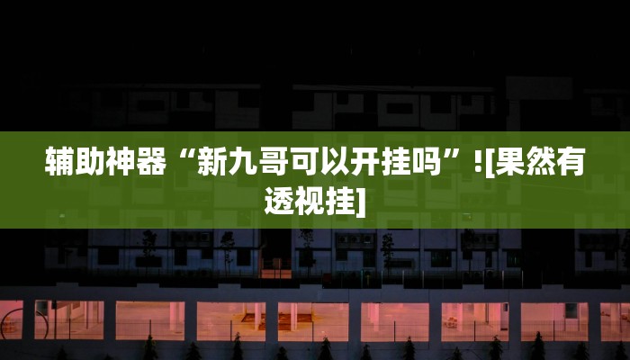 辅助神器“新九哥可以开挂吗”![果然有透视挂]