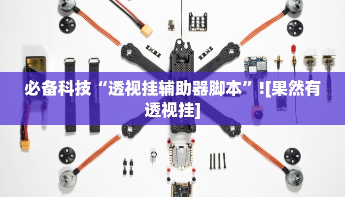 必备科技“透视挂辅助器脚本”![果然有透视挂]