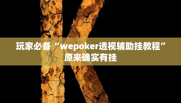玩家必备“wepoker透视辅助挂教程”原来确实有挂 玩家必备“wepoker透视辅助挂教程”原来确实有挂