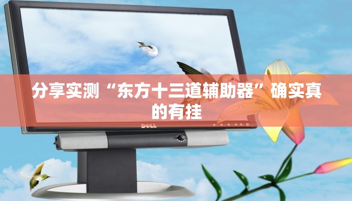 分享实测“东方十三道辅助器”确实真的有挂 分享实测“东方十三道辅助器”确实真的有挂