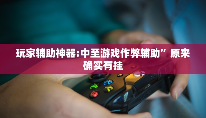 玩家辅助神器:中至游戏作弊辅助”原来确实有挂 玩家辅助神器:中至游戏作弊辅助”原来确实有挂