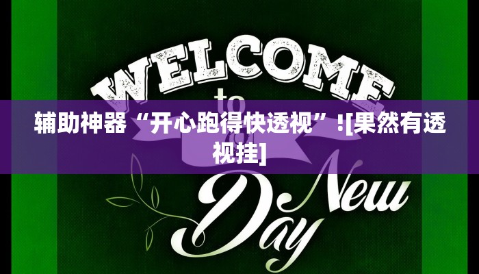 辅助神器“开心跑得快透视”![果然有透视挂]