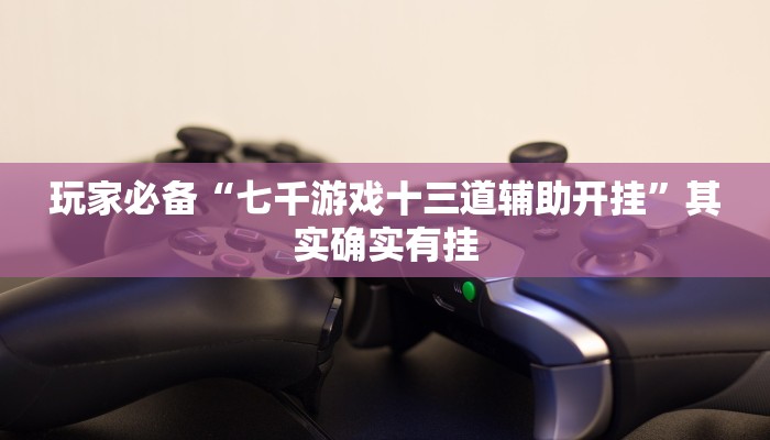 玩家必备“七千游戏十三道辅助开挂”其实确实有挂 玩家必备“七千游戏十三道辅助开挂”其实确实有挂