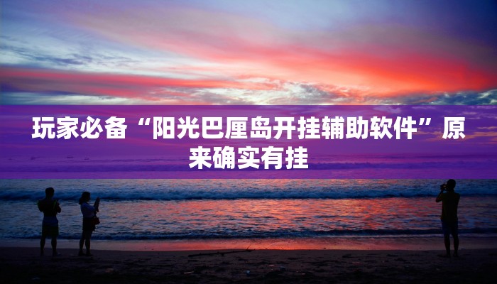 玩家必备“阳光巴厘岛开挂辅助软件”原来确实有挂