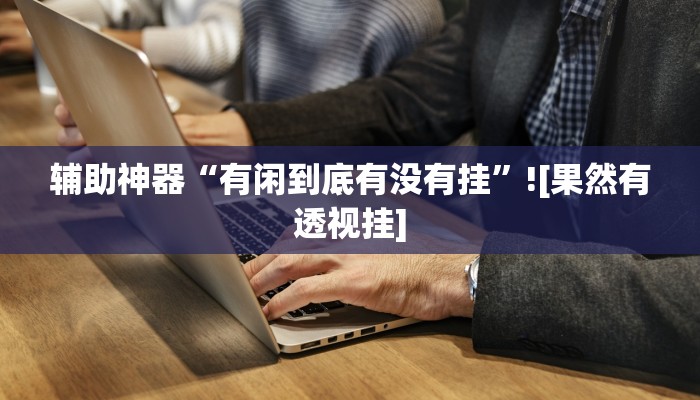 辅助神器“有闲到底有没有挂”![果然有透视挂]