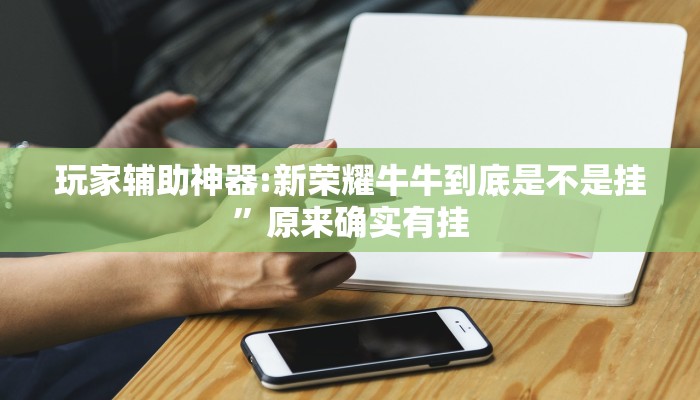 玩家辅助神器:新荣耀牛牛到底是不是挂”原来确实有挂