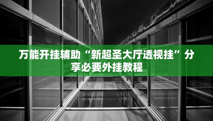 万能开挂辅助“新超圣大厅透视挂”分享必要外挂教程