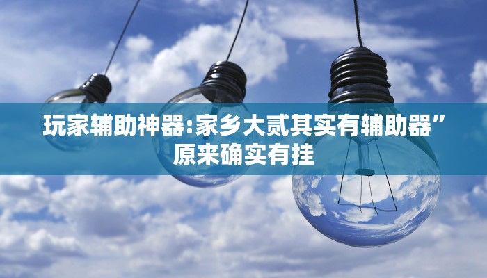玩家辅助神器:家乡大贰其实有辅助器”原来确实有挂 玩家辅助神器:家乡大贰其实有辅助器”原来确实有挂