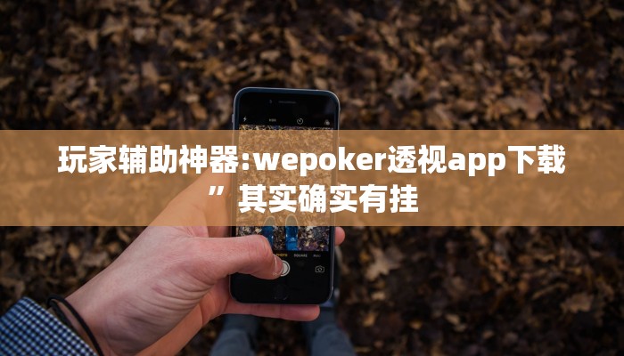 玩家辅助神器:wepoker透视app下载”其实确实有挂 玩家辅助神器:wepoker透视app下载”其实确实有挂