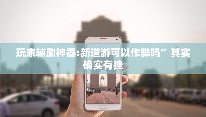 玩家辅助神器:新道游可以作弊吗”其实确实有挂