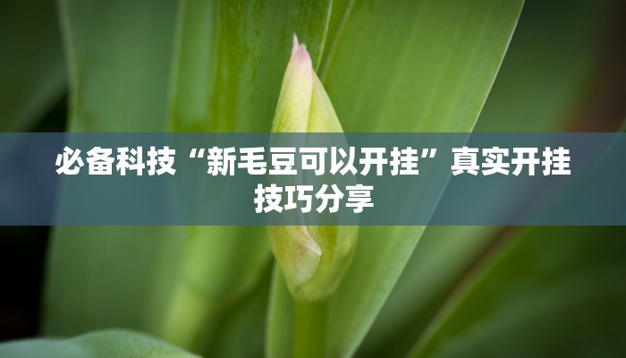 必备科技“新毛豆可以开挂”真实开挂技巧分享