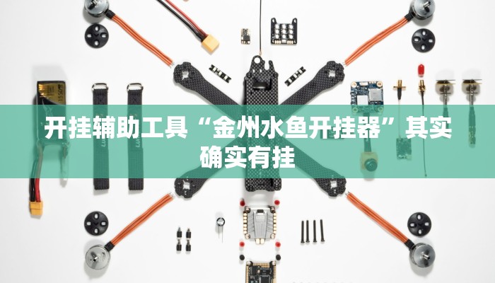 开挂辅助工具“金州水鱼开挂器”其实确实有挂