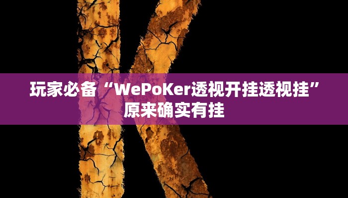 玩家必备“WePoKer透视开挂透视挂”原来确实有挂
