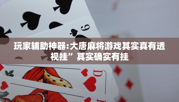 玩家辅助神器:大唐麻将游戏其实真有透视挂”其实确实有挂