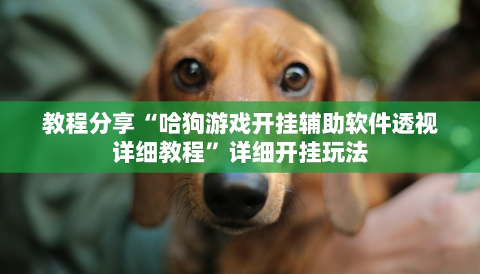 教程分享“哈狗游戏开挂辅助软件透视详细教程”详细开挂玩法