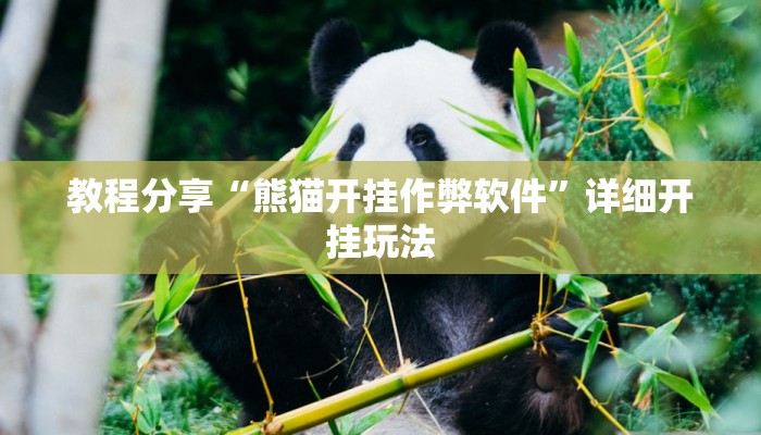 教程分享“熊猫开挂作弊软件”详细开挂玩法